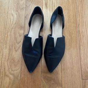 Pointy Toe Black Flats